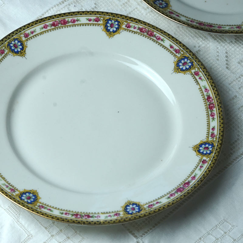 ����ƥ�������⡼����ζ�ݤȤ��֤Υǥ����ȥץ졼��W23cm gc-1960