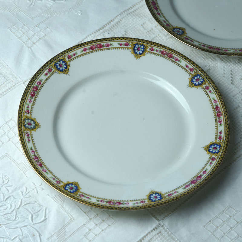 ����ƥ�������⡼����ζ�ݤȤ��֤Υǥ����ȥץ졼��W23cm gc-1960