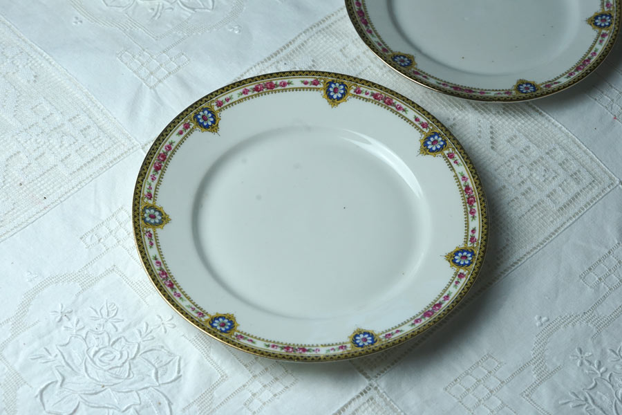 ����ƥ�������⡼����ζ�ݤȤ��֤Υǥ����ȥץ졼��W23cm gc-1960