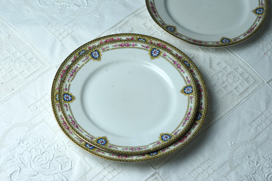 ����ƥ�������⡼����ζ�ݤȤ��֤Υǥ����ȥץ졼��W23cm gc-1960