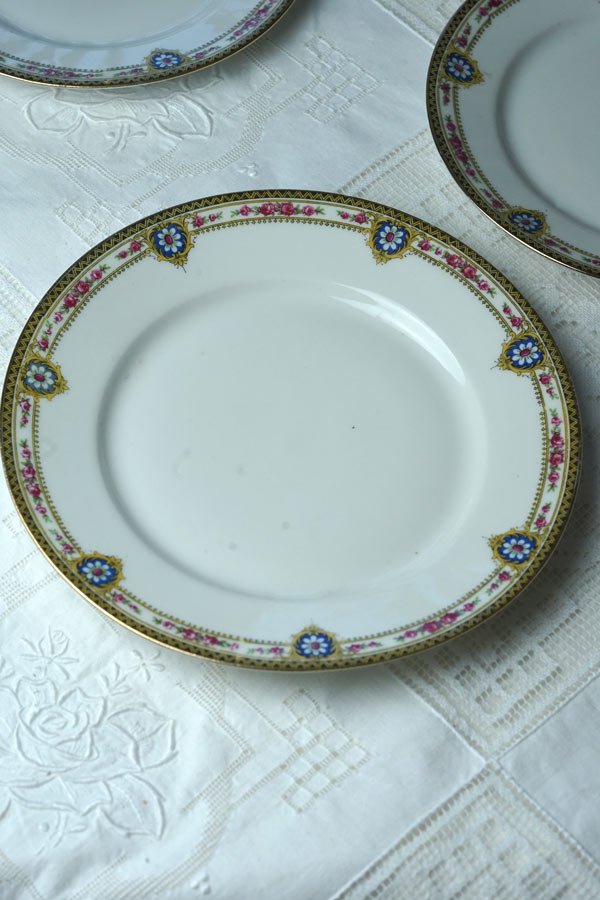 ����ƥ�������⡼����ζ�ݤȤ��֤Υǥ����ȥץ졼��W23cm gc-1960