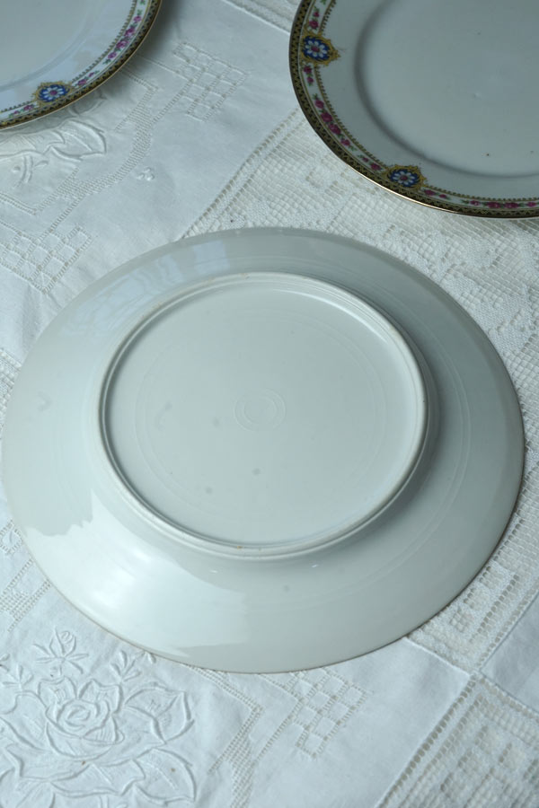 ����ƥ�������⡼����ζ�ݤȤ��֤Υǥ����ȥץ졼��W23cm gc-1960