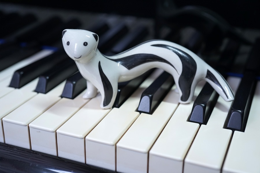 �����饤�ʤΥ������Υե�������1960ǯ�庢 gt-1144