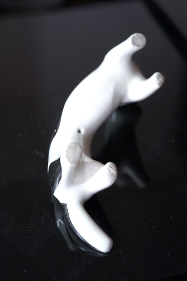 �����饤�ʤΥ������Υե�������1960ǯ�庢 gt-1144