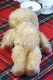 �ե�󥹤Υ���˥奤��ʷ�ϵ��Υ�����ɥ�إ��Υ٥�40cm 1950-60ǯ�庢 gt-976
