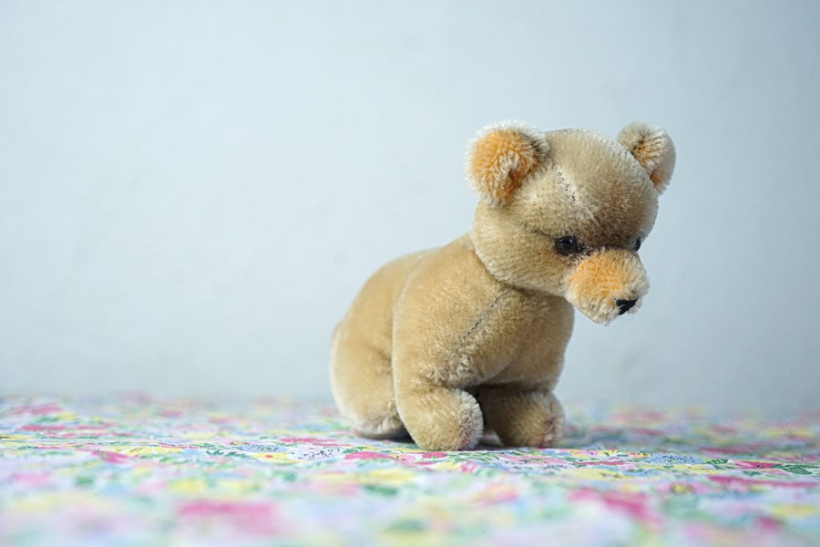 くまこのベア　チーベア　濃茶ショートモヘア ドイツのまん丸のお顔が可愛いモヘアのこぐまさん W17×H12cm gt