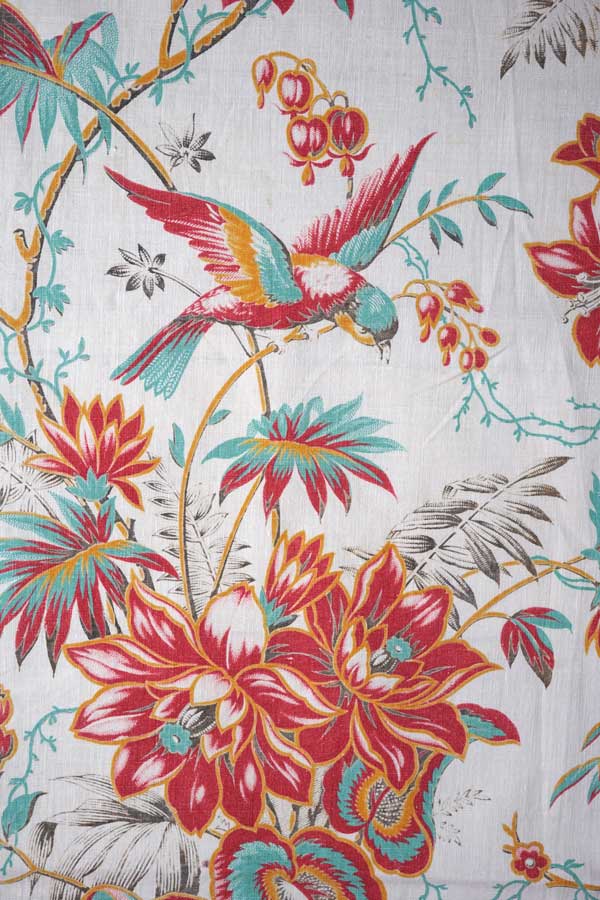 �����꡼��ץ��ȥե������åȥ�ե��֥�� ��W52��75cm 1900ǯ�庢 gf-898