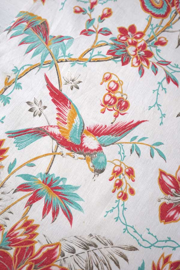 �����꡼��ץ��ȥե������åȥ�ե��֥�� ��W52��75cm 1900ǯ�庢 gf-898