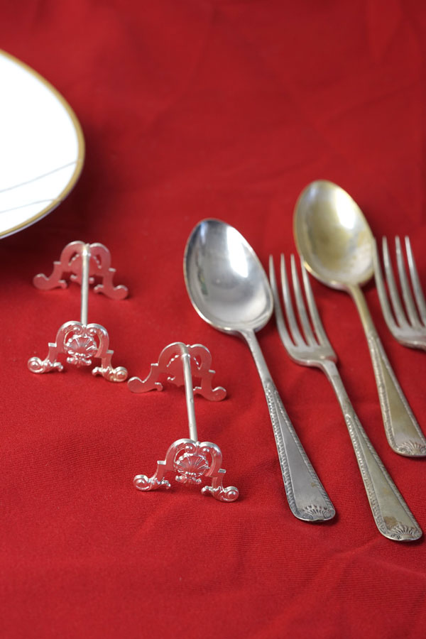 �ե�󥹤Υ���С��ץ졼�ȤΥʥ��ե쥹�Ȥȥ��ȥ�꡼�Υڥ����å� gc-1899