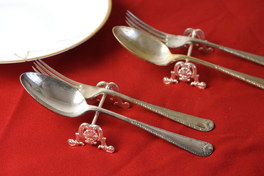 �ե�󥹤Υ���С��ץ졼�ȤΥʥ��ե쥹�Ȥȥ��ȥ�꡼�Υڥ����å� gc-1899