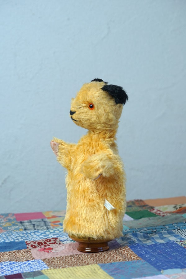 ����ɥХ졼�Υ����ƥ����Υѥڥå�1955-1960ǯ�� gt-1077