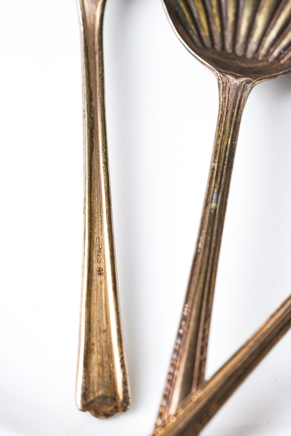 �����ꥹ�� �����뷿���ס��� gc-1900