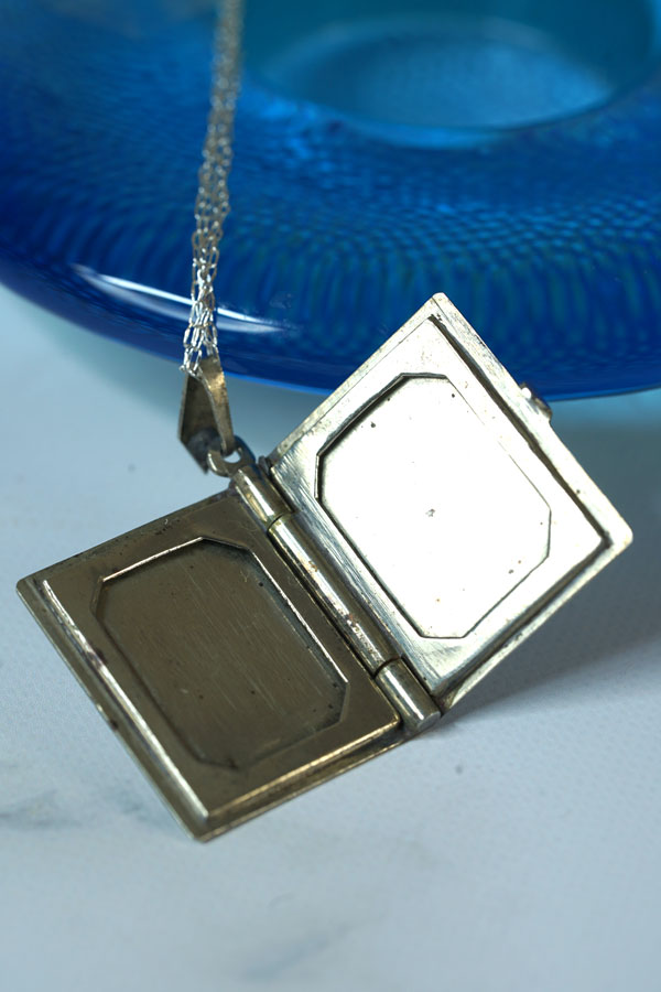 �ڥ��������ץ�ϡۥܥ��˥���Ħ�郎�������֥å����Υ����åȥڥ����ȡ�DV��Υ����� ga-1341