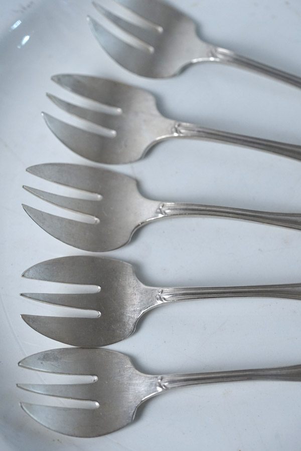 �ܤβ��ڤ�ź���롪�ե��������С��ץ졼�� �����������ե�������5�ܥ��åȡ� gc-1922