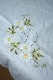 �ϥ󥬥꡼�Υޡ�����åȼ�ɽ��ȥ����å���졼���Υ饦��ɥơ��֥륯����W148cm��ge-1093