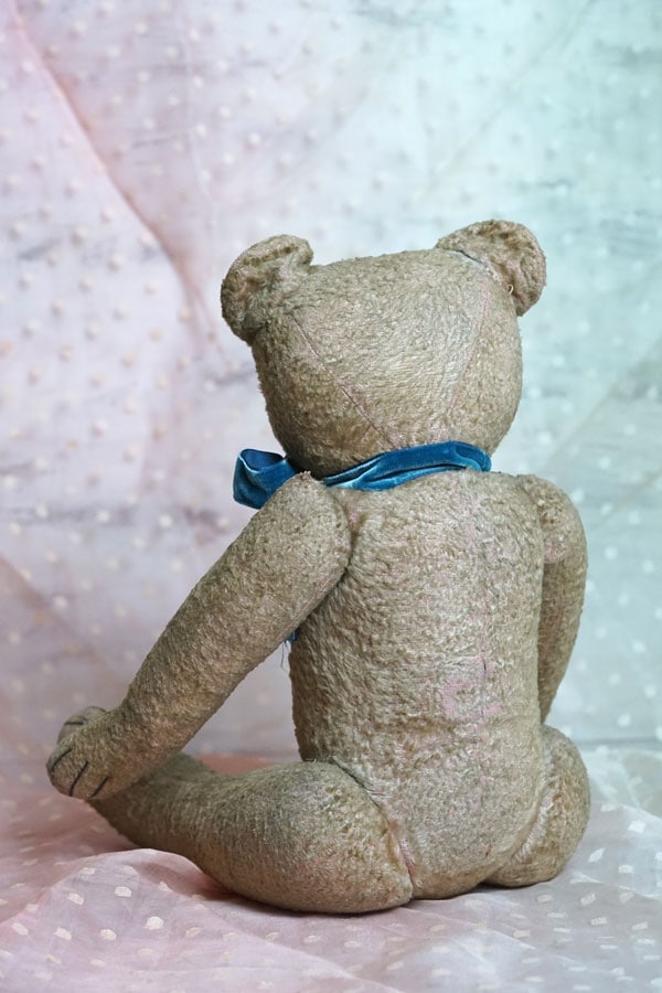 �ե�󥹤Υԥ󥯤Υե饷ŷ�Τۤä��ꤷ���٥�47cm 1920ǯ�� gt-978