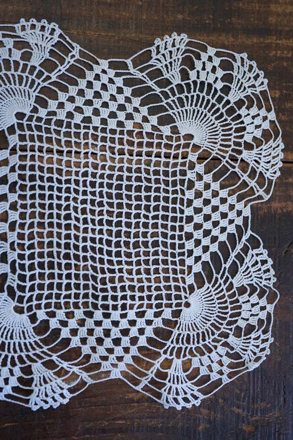 �ϥ󥬥꡼�Τ��ȷݥ����å���졼���ޥå�19��20cm��gla-1883