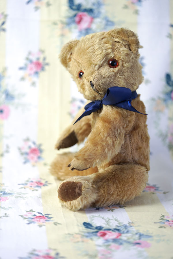 ��꡼�����ȤΥ���ƥ������٥�35cm 1930ǯ�庢 gt-1070