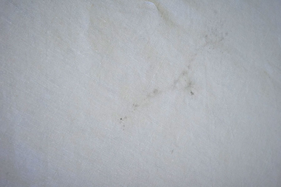 19C�����Υե�����ۥ磻�ȥ���ɽ��Ρ֥ɥ�סʥ٥åɥ�ͥ��W208��280cm gli-0380