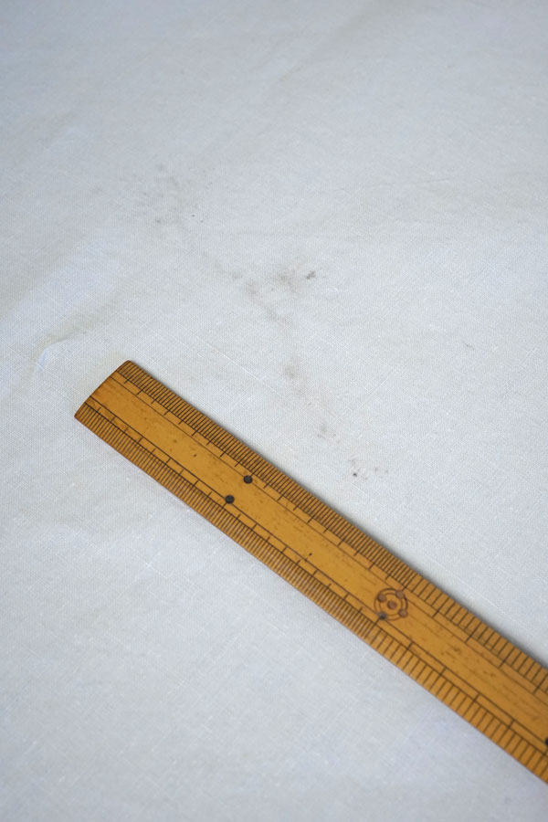 19C�����Υե�����ۥ磻�ȥ���ɽ��Ρ֥ɥ�סʥ٥åɥ�ͥ��W208��280cm gli-0380