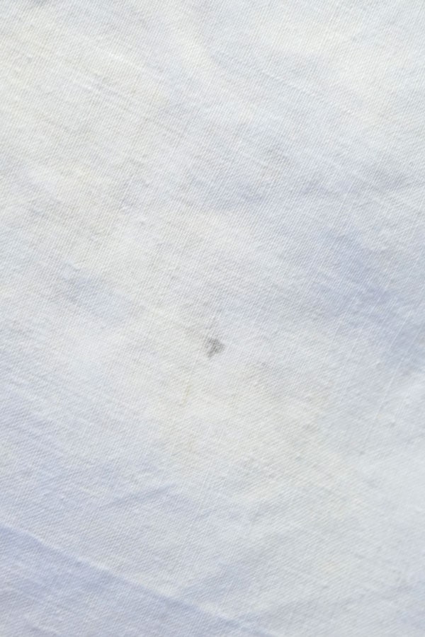 19C�����Υե�����ۥ磻�ȥ���ɽ��Ρ֥ɥ�סʥ٥åɥ�ͥ��W208��280cm gli-0380