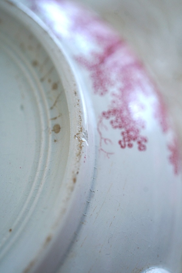 륰ߥ SARREGUEMINES U&CJardinieråɥѡץΥԥgc-1402