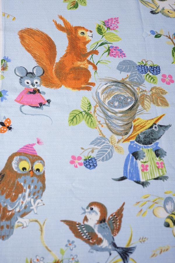 ꥹΥϥåԡʥ˥ޥ뤿Υե֥åW11850cm gf-909