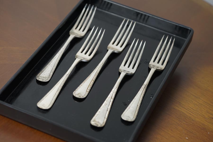 �ڥۥ�ǡ������������ۥ����ꥹ������С��ץ졼�ȥǥ��ʡ��ե�����5�ܥ��å� gc-1907