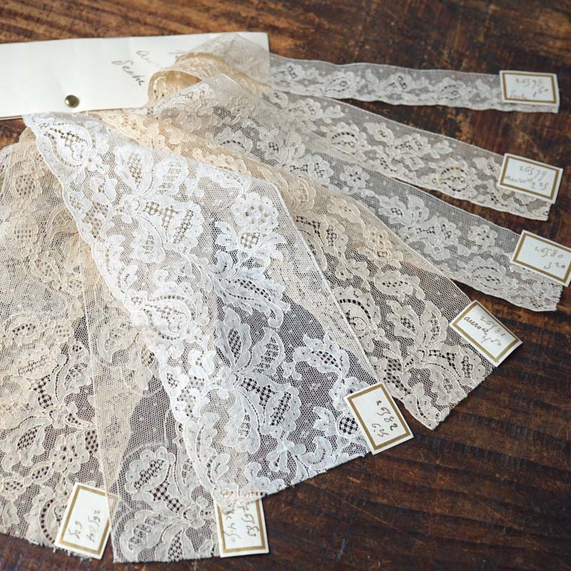 �ե�󥹤Υ���졼���Υ���ץ륫����25cm��8������ gla-2056