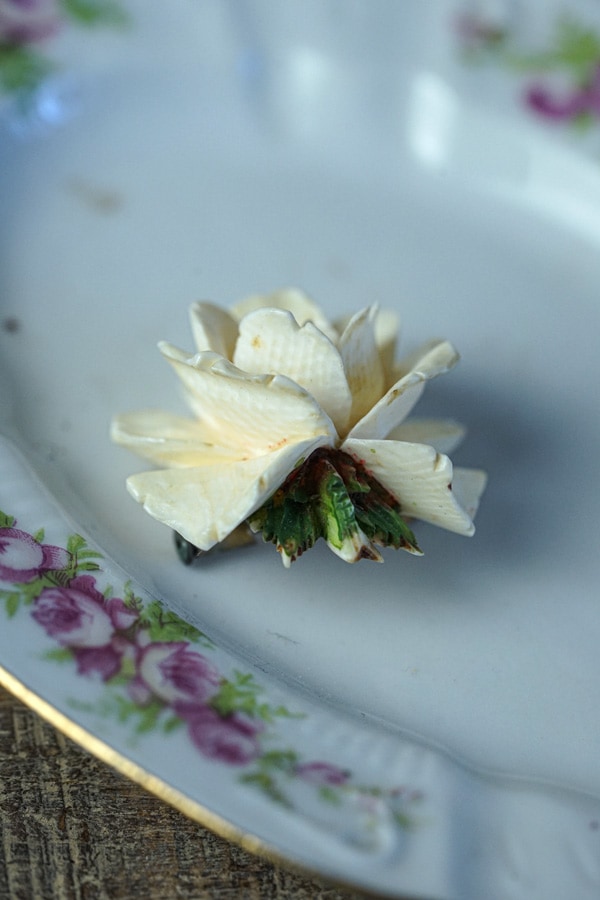 �����ܥ꡼�ο𡹤���Ħ���鯤Υ֥�����1920ǯ�庢 ga-1090