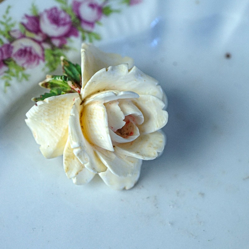 �����ܥ꡼�ο𡹤���Ħ���鯤Υ֥�����1920ǯ�庢 ga-1090