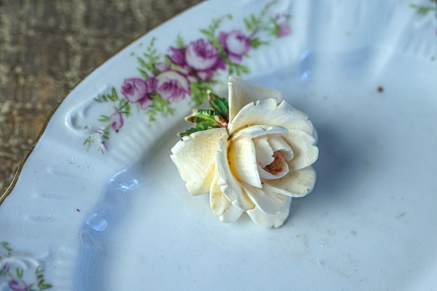 �����ܥ꡼�ο𡹤���Ħ���鯤Υ֥�����1920ǯ�庢 ga-1090