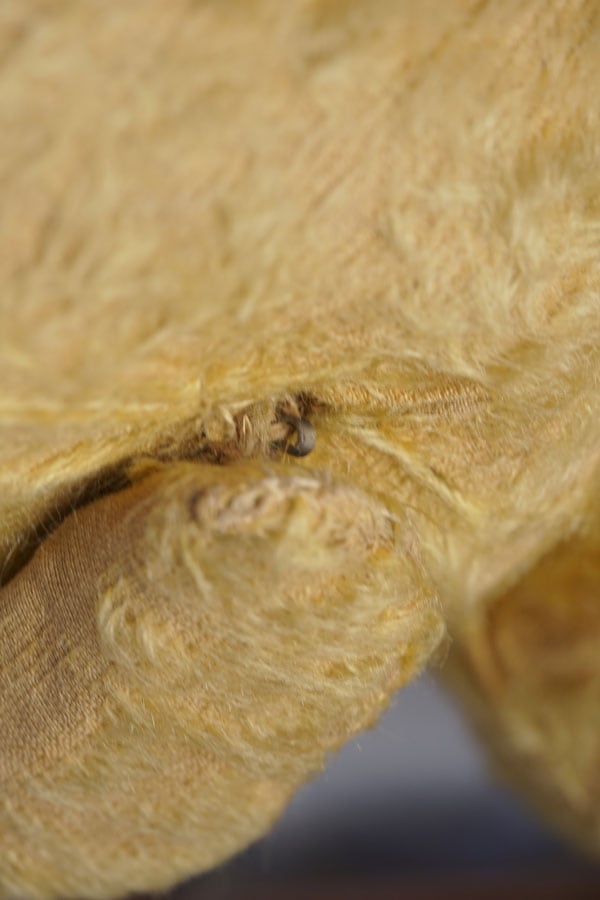 �����ä�Ȥ����Ѥΰ��ȤΤ���68cm�Υ����ꥹ�Υ٥�1930ǯ�庢��gt-1702