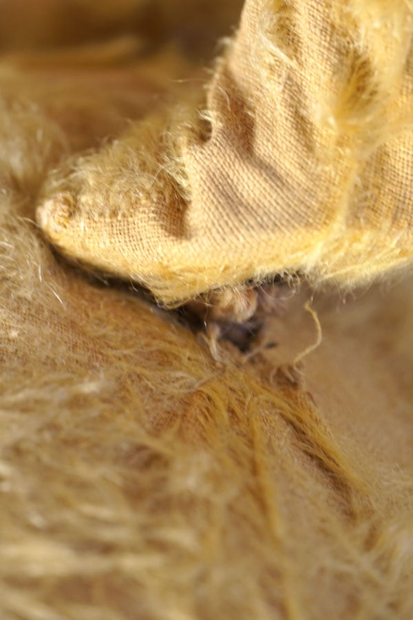 �����ä�Ȥ����Ѥΰ��ȤΤ���68cm�Υ����ꥹ�Υ٥�1930ǯ�庢��gt-1702