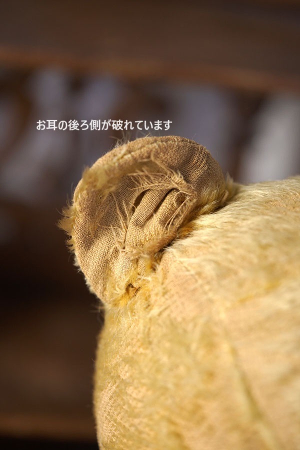 �����ä�Ȥ����Ѥΰ��ȤΤ���68cm�Υ����ꥹ�Υ٥�1930ǯ�庢��gt-1702