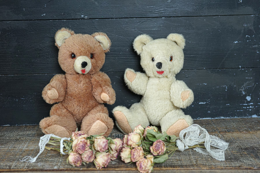 1950ǯ�太Τ����Υߥ�ȥ���ǥ������Υڥ��٥�21cm gt-1012