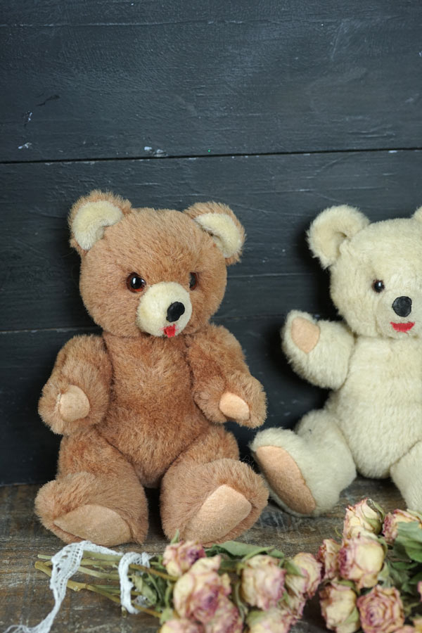 1950年代お里帰りのミントコンディションのペアベア21cm gt-1012の通販