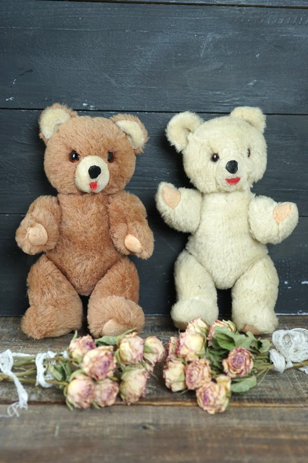 1950ǯ�太Τ����Υߥ�ȥ���ǥ������Υڥ��٥�21cm gt-1012