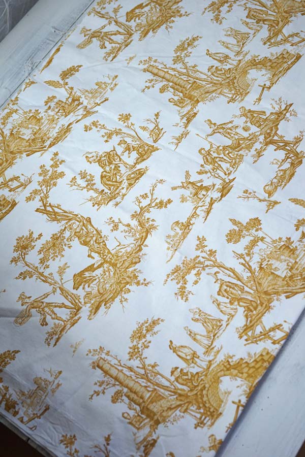 ����⥢������̩�ʥ�����դΥȥ��ɥ��奤97��60cm gf-821