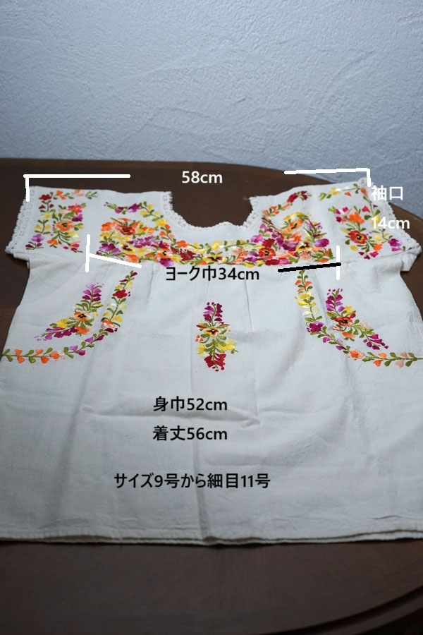 �ᥭ������̴�����󡦥���ȥˡ���¼�Υޥꥢ����Υѥ󥸡��ɽ��֥饦�� gd-277