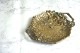����ƥ������֥��󥺤��鯤Υ�꡼�դΥȥ졼1870ǯ�庢24��19��3.3cm gk-610