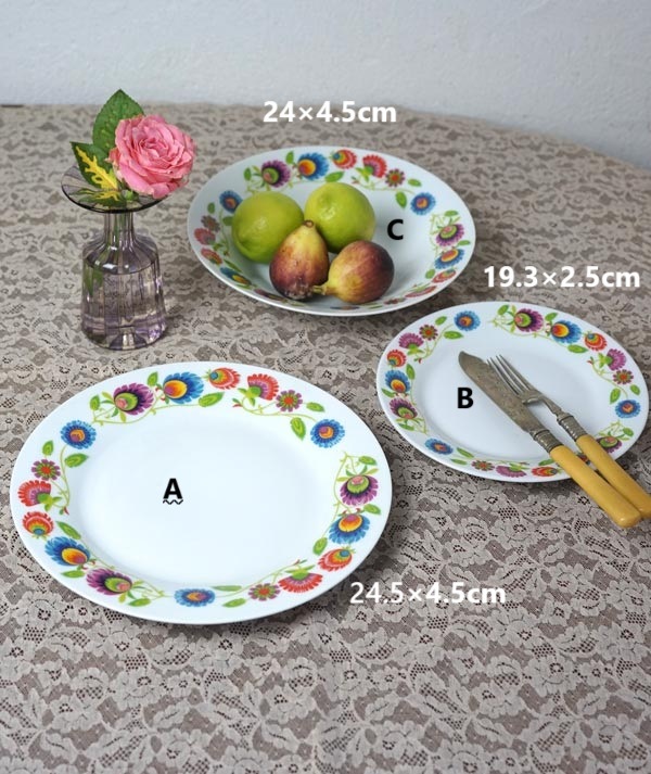 �ݡ����ɤ�Ceramika Tu���owice�Τ��֤Τ���3�祻�å�1970ǯ�塡gc-1869