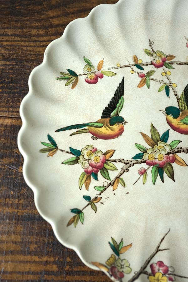 ꥹWAAΤФ֤ĻΥץ졼19CW21.5cm gc-1700