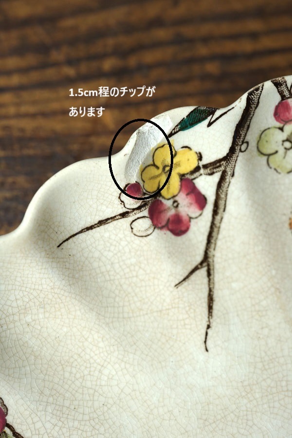 ꥹWAAΤФ֤ĻΥץ졼19CW21.5cm gc-1700