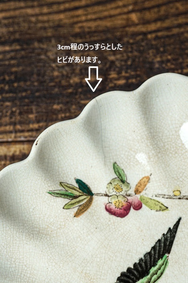 ꥹWAAΤФ֤ĻΥץ졼19CW21.5cm gc-1700