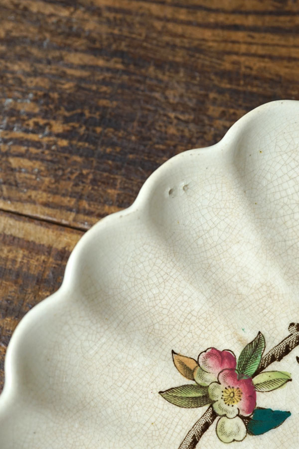 ꥹWAAΤФ֤ĻΥץ졼19CW21.5cm gc-1700