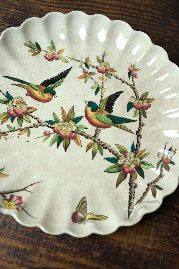 ꥹWAAΤФ֤ĻΥץ졼19CW21.5cm gc-1700