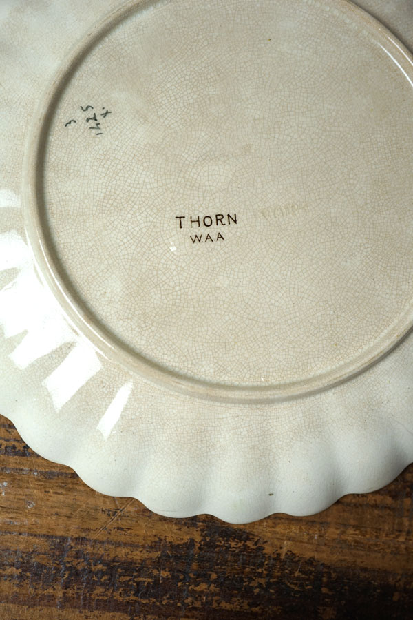 ꥹWAAΤФ֤ĻΥץ졼19CW21.5cm gc-1700