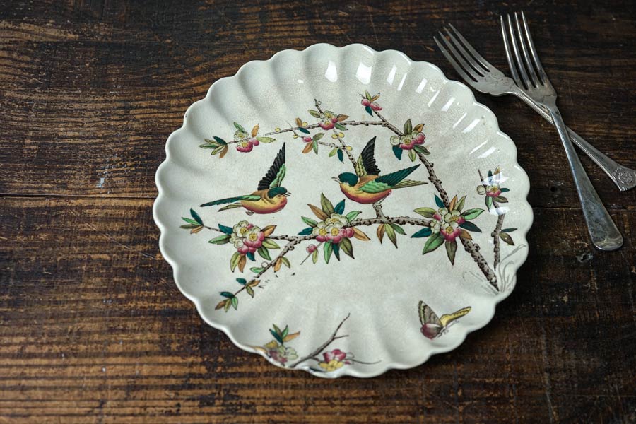 ꥹWAAΤФ֤ĻΥץ졼19CW21.5cm gc-1700