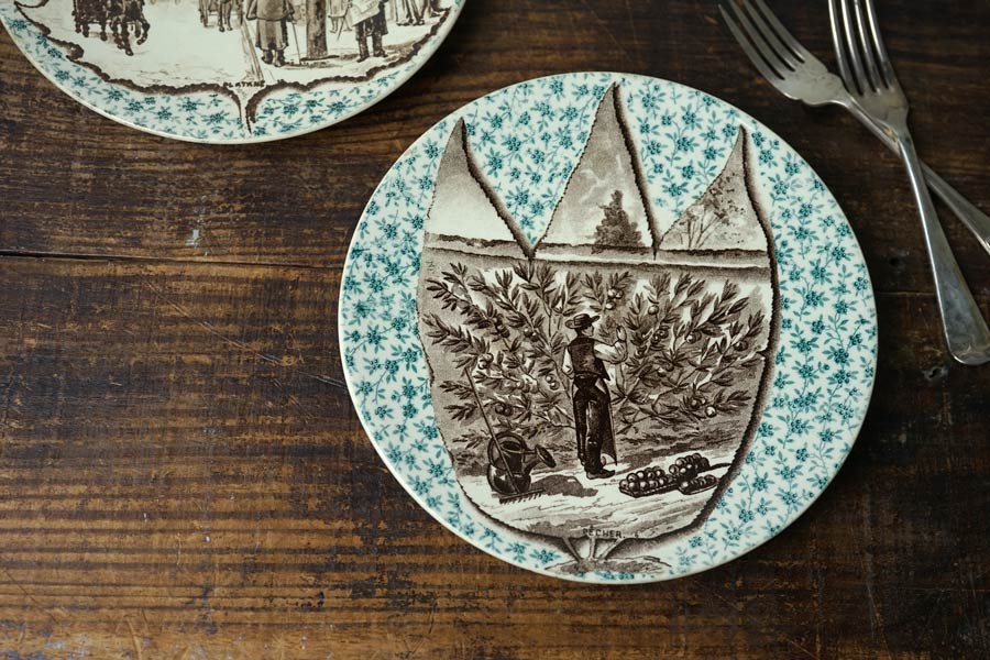 ���륰�ߥ�� Sarreguemines���꡼�֤μ��ϤΥץ졼��19C���20cm gc-1701